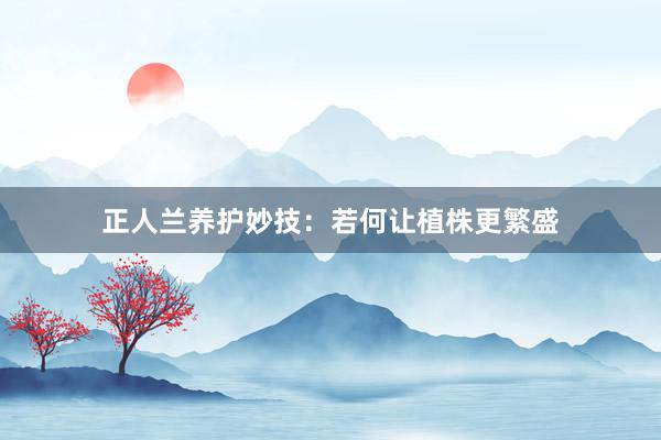 正人兰养护妙技：若何让植株更繁盛